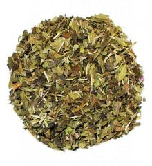 Peppermint Herbal Tea