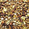 Seeds